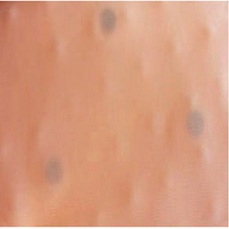 Pads pour soutien-gorge - Ref 818869 Image 5