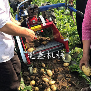 洋芋收获机小型土豆收割机多功能红薯收割机耐用型土豆收获机