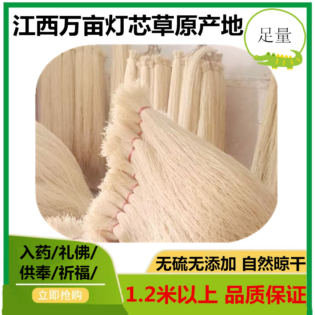 野生灯芯草中药材1斤包邮