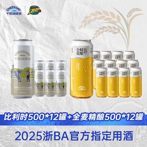 千岛湖啤酒精酿500mL*12瓶2箱