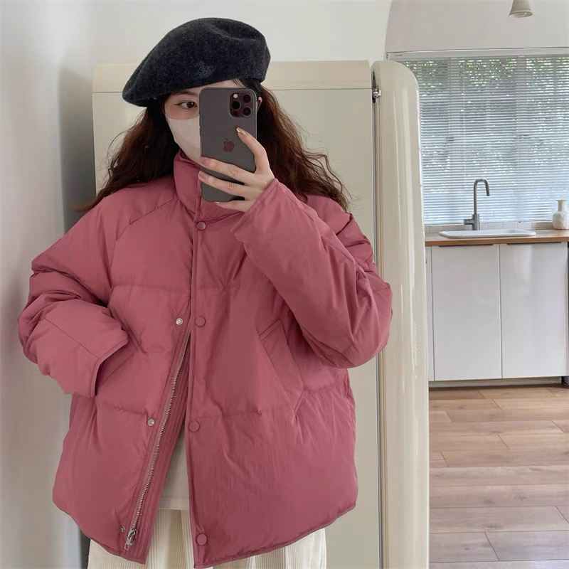 Wuli 25冬季新款潘多拉色立领羽绒服白鸭绒外套保暖简约面包服女