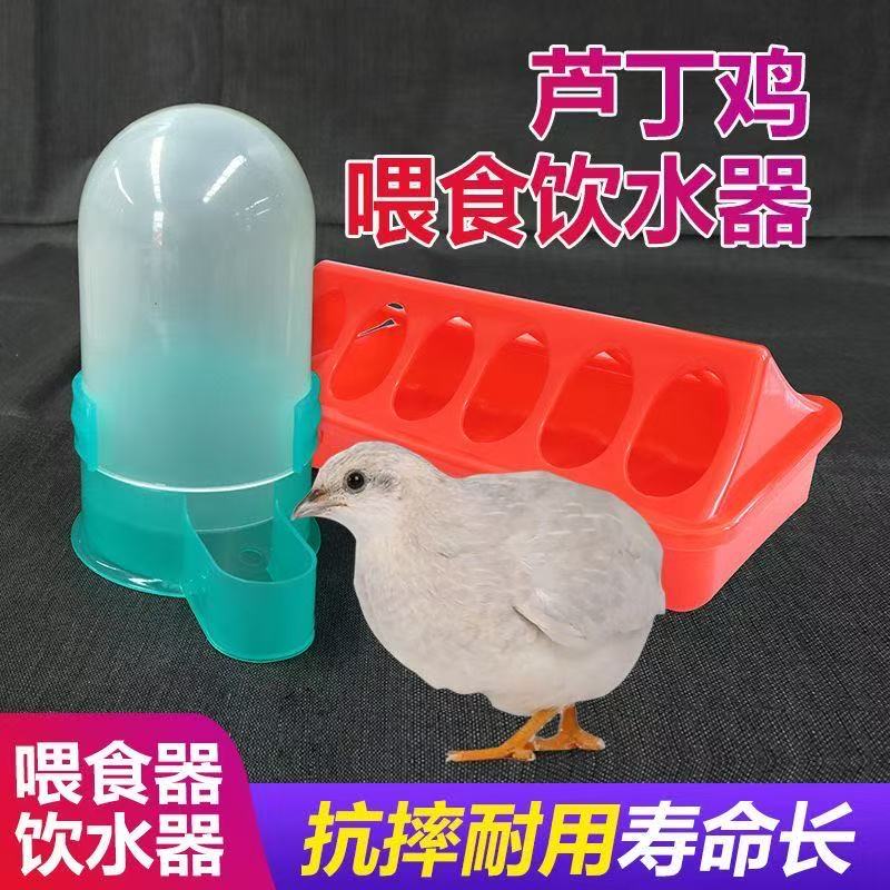 芦丁鸡鸽子食槽自动饮水器喂食小鸡用品鹦鹉槽子食盒雏鸡鹌鹑料器