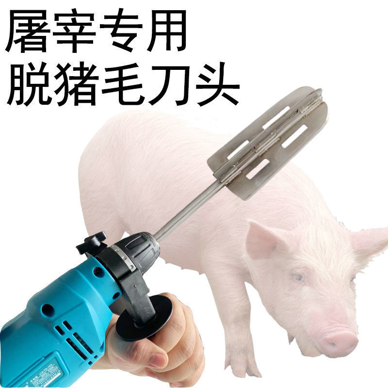 锂电专用刮毛刀不带电钻屠宰专用脱毛屠户去毛刀头去猪毛去毛刨刀