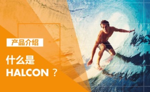 2024年新Halcon中文官方教学视频深度学习3D匹配多目标定入门学习