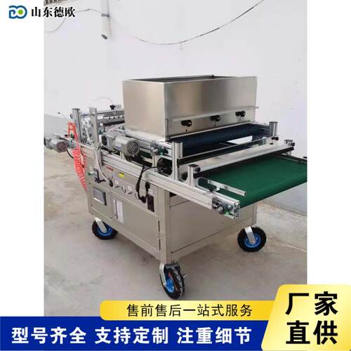 辣椒番育压苗点播机装土覆土淋水播种茄流水线穴盘漂盘穴点种机