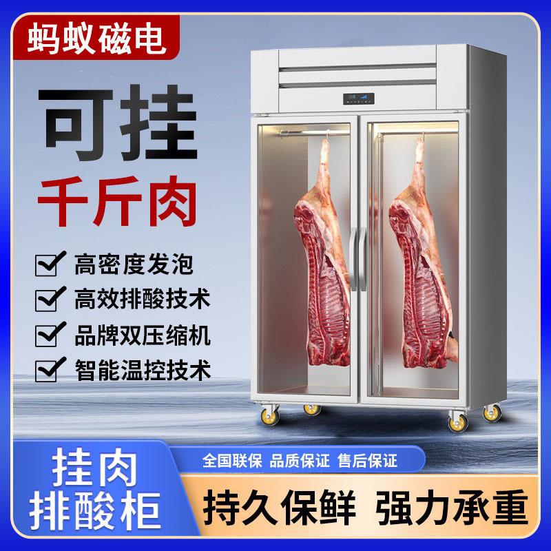 挂肉柜商用牛羊肉保鲜柜冷藏鲜肉展示柜立式吊肉冷冻柜熟成排酸柜