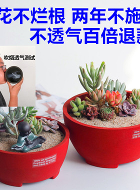 老盆友2110透气花盆xtou多肉拼盘会呼吸的套装紫砂多孔陶瓷工艺