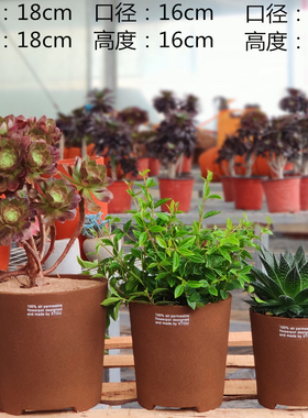 1818透气花盆XTOU会呼吸的兰花老桩多孔陶瓷红陶树脂君子兰