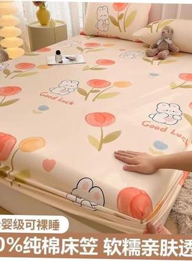 Bedding Bedcover Sheets Cover Bedsheet Bed Sheet Bedsheets