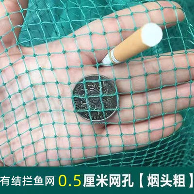 0.5cm烟头网眼小眼渔网 拦渔网八字网虎口网拉网捕鱼网超大进口