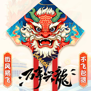 龙风筝大人专用儿童微风易飞龙形2025新款大型高端成人潍坊初学者