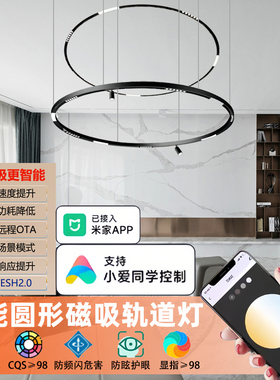 接APP米家圆形磁吸轨道灯环形客厅无主灯智能弧形非标订制磁吸灯