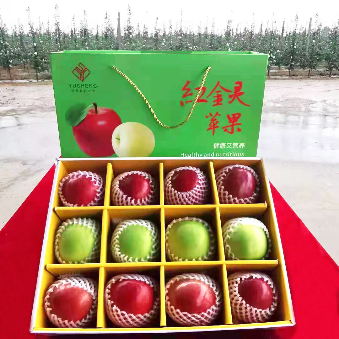 甘肃灵台苹果 85--90mm瑞阳 瑞雪组合【12枚礼盒包装】8红4绿7斤