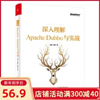 正版 深入理解Apache Dubbo与实战 诣极林琳 Dubbo框架原理技术开发 Dubbo集群容错路由负载均衡机制Dubbo扩展高级特性实现书