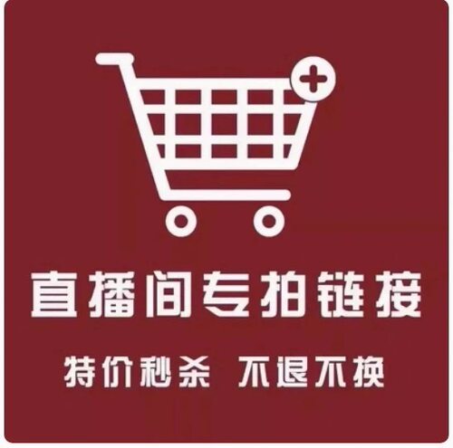 随单拍Kt猫百搭包包