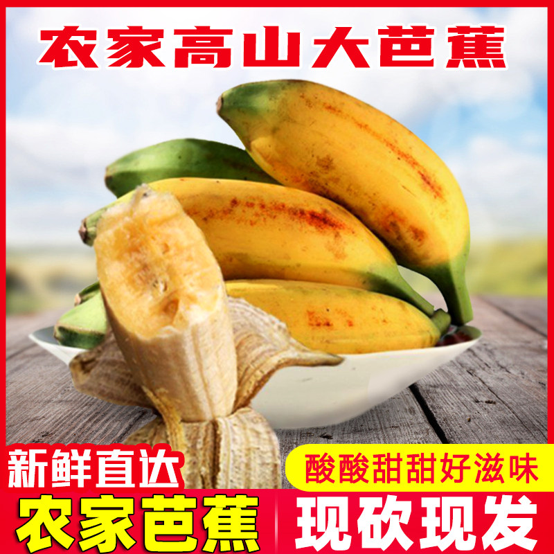 现摘高州青芭蕉大蕉新鲜牛角蕉无香蕉