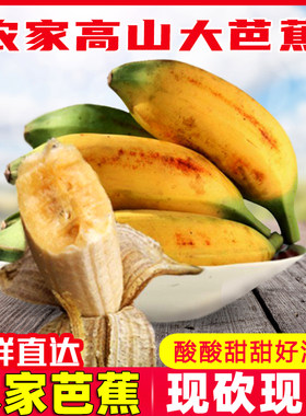 现摘高州青芭蕉大蕉新鲜牛角蕉无催熟剂广东水果当季包邮3/5/9斤