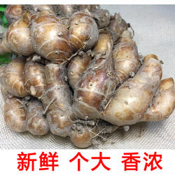 包邮广东高州新鲜沙姜三柰三奈三赖山奈佐料配料调味品香料2斤装