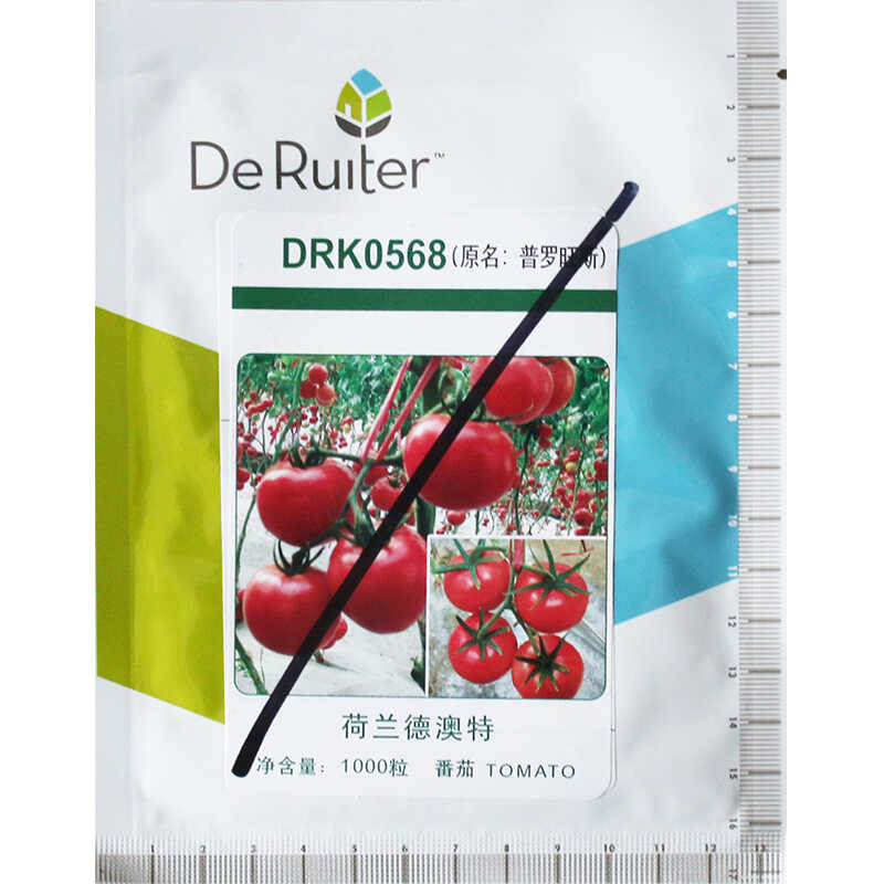 口感普罗旺斯种子西红柿种籽四季水果番茄种苗沙瓤原装蔬菜种种孑