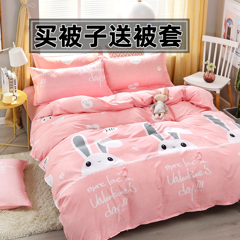 亲肤冬季加厚保暖家用可拆洗被芯