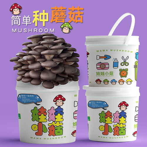 喷水长蘑菇趣味蘑菇桶装食用菌