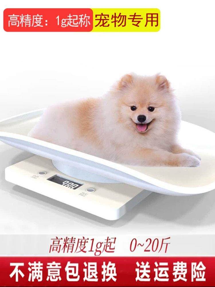 宠物秤称重器小动物专用体重电子秤幼猫猫咪小型猫用狗狗克称家用