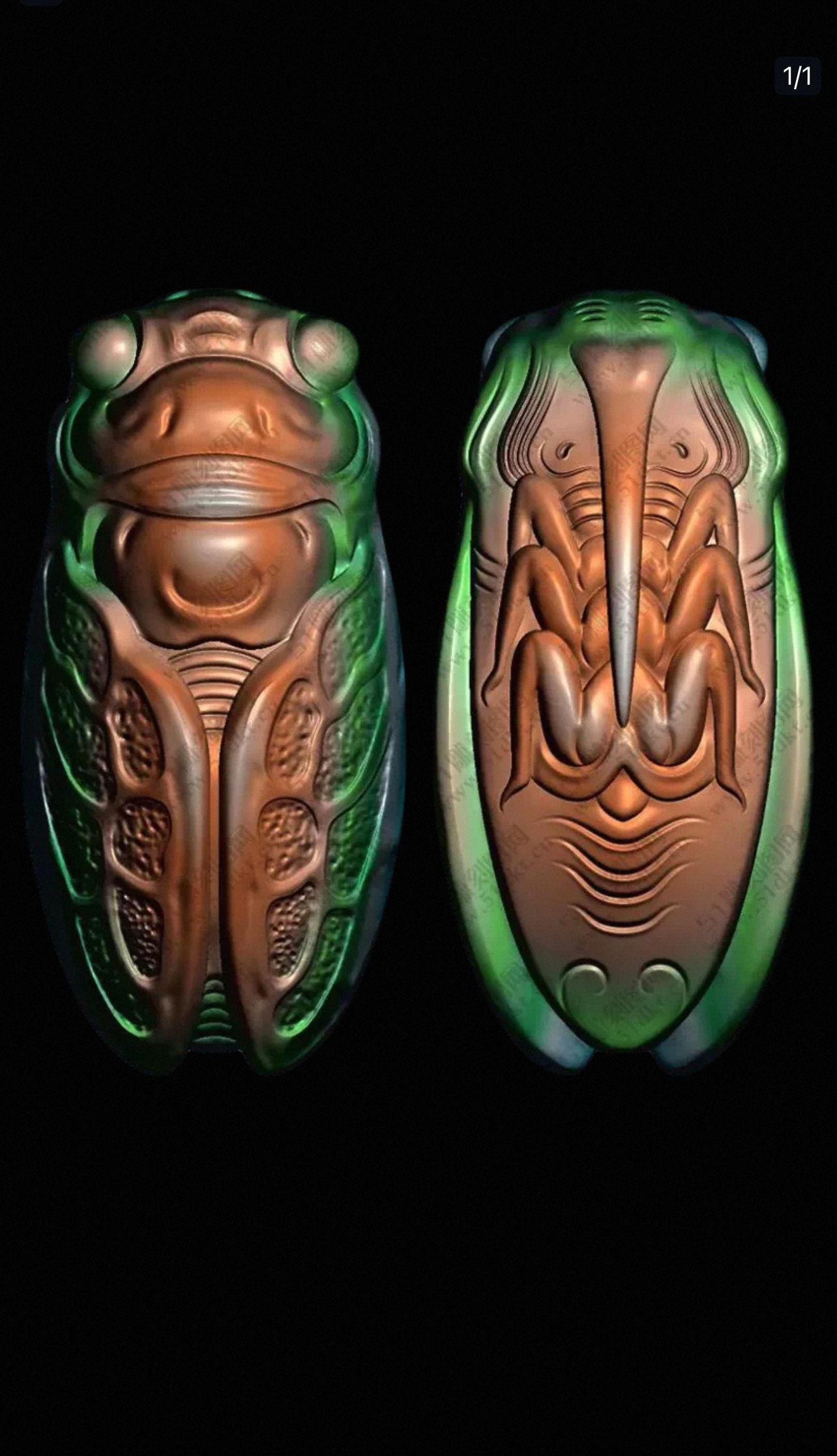 Jdp蝉金蝉56知了精雕图虫子三维立体图浮雕图纸文件雕刻机3d图