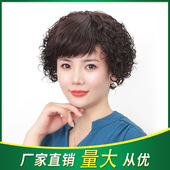 真人发丝全头套女 短卷发发套 许昌假发 老年人假发送妈妈短发时尚