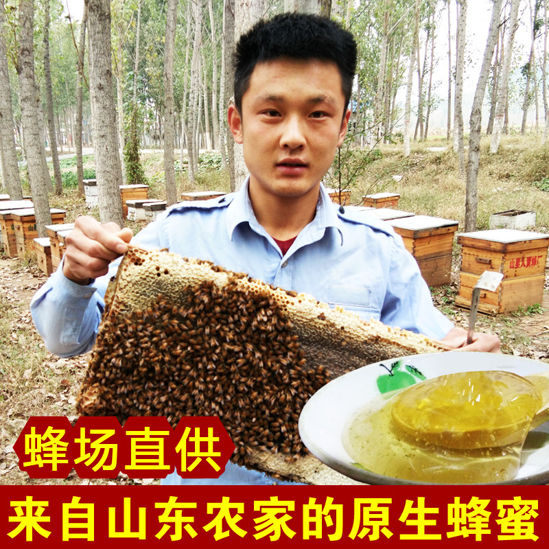 山东农家自产蜂蜜百花蜜荆条蜜