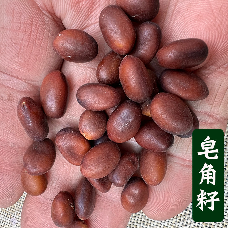 天然皂角籽富贵菩提金莲子铜莲子菩提