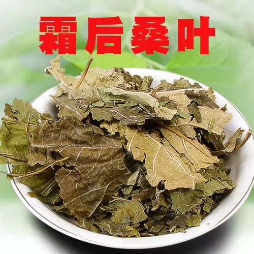 霜打桑叶冬桑叶片天然野生