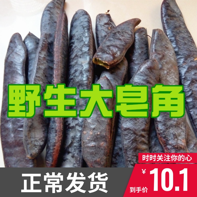 包郵野生皂角 大皂角 長皂角 皂莢 野生 天然洗發防脫1件500克在類目 傳統滋補營養品, 藥食同源食品, 其他藥食同源食品中 - 來自Buy2taobao.com提供專業的淘寶代購服務