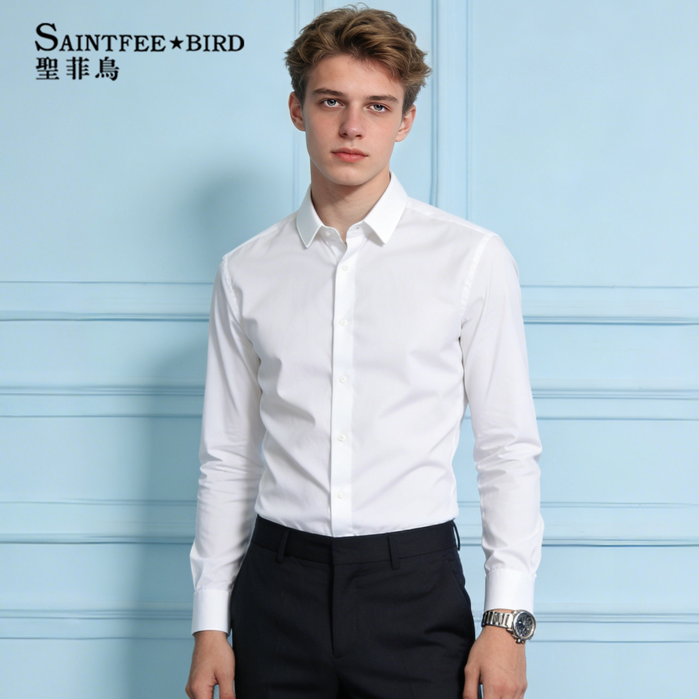 白衬衫男长袖正装修身抗皱高级感免烫结婚新郎纯色职业通勤寸衫