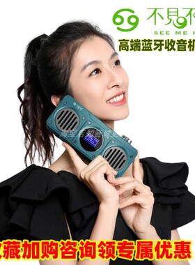 See Me Here/不见不散 BV810便携内置双喇叭立体声重低音蓝牙音箱