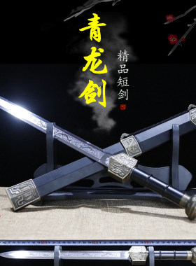 龙泉市不锈钢刀剑防身小短剑镇宅宝剑汉剑风云战剑天罡小剑未开刃