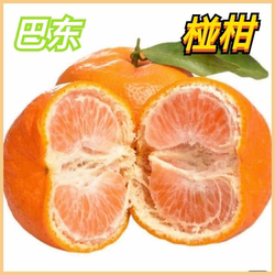 正宗巴东雷家坪椪柑长阳岩松坪清江椪柑芦柑新鲜水果九斤大果包邮