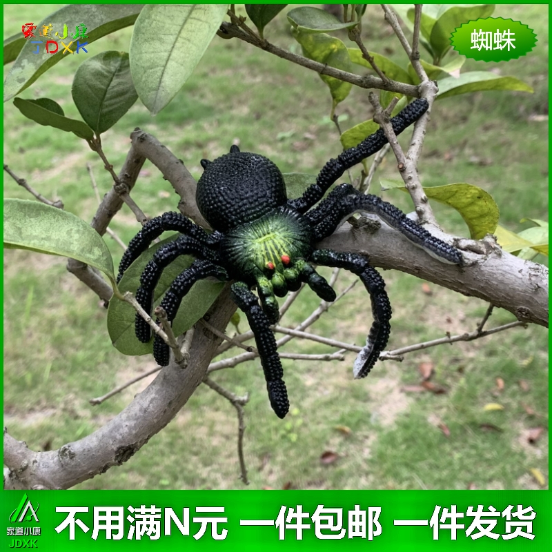 仿真软胶吓人恶搞动物模型假蜘蛛