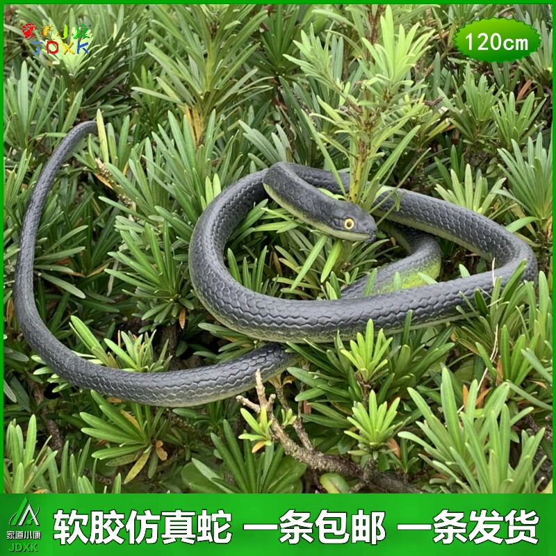 仿真蛇软胶包邮眼镜蛇