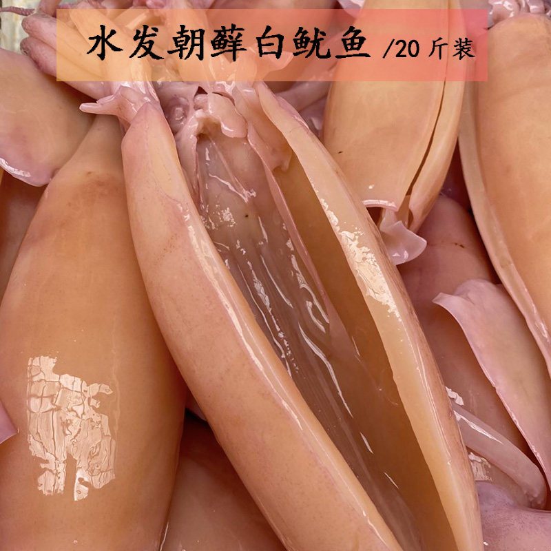 商用水发鱿鱼 白尤鱼 深海水产 火锅店串串店大袋装海鲜20斤 包邮
