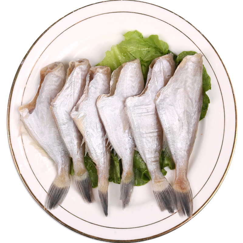 中号马面鱼冷冻耗儿鱼