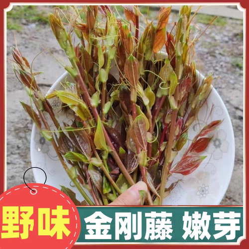 新鲜金刚藤嫩头中药材现挖菝葜根金刚藤刺芽干铁菱角马甲头纯天然