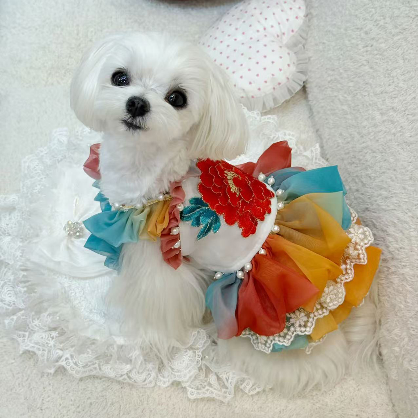 唐風狗狗裙子泰迪比熊博美小馬裙