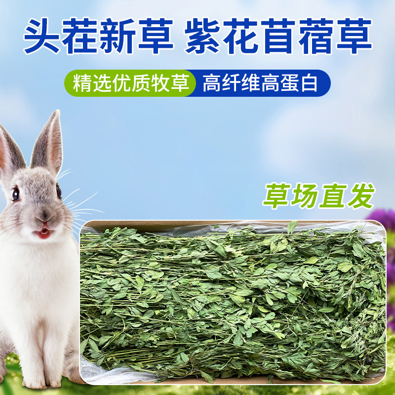 2025年新草紫花苜蓿草干草兔草兔粮烘干牧草毛重1公斤龙猫小宠