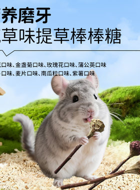 4支）提草棒棒糖龙猫仓鼠磨牙棒金丝熊小宠磨牙零食宠物送苹果枝