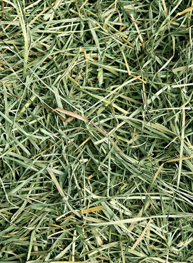 高山果树草超香助消化100克装