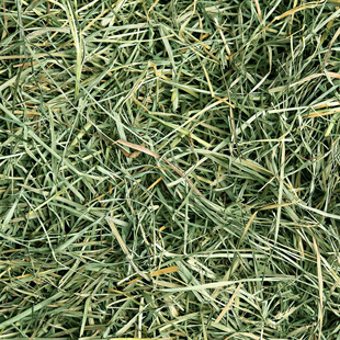 SPS 100克装 高山果树草 助消化 超越APD 超香 保质期2027年2月