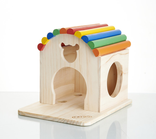 【幸福爱宠园】carno阳台龙猫