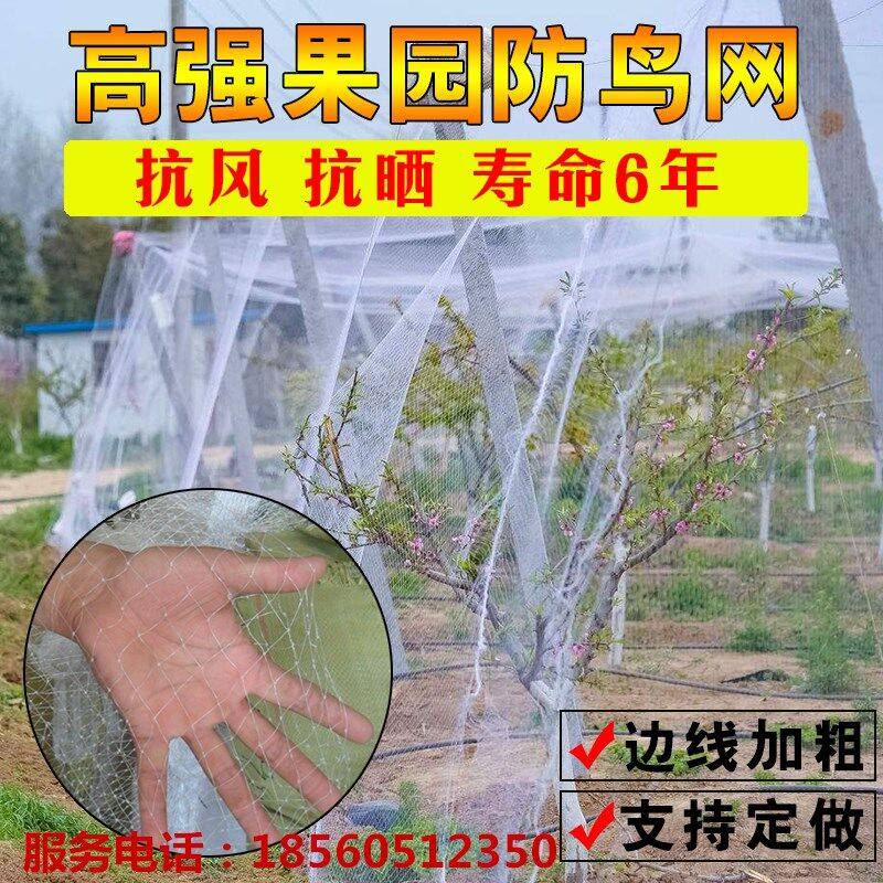 树用的网捉多功能拦养殖网加密型园艺用品防鸟|msdalam kategori penghantaran bunga/bunga simulasi/tumbuhan berkebun, Gardening Supplies, Peralatan Perkebunan lain - dari Buy2taobao.com untuk memberikan perkhidmatan ejen Taobao profesional membeli
