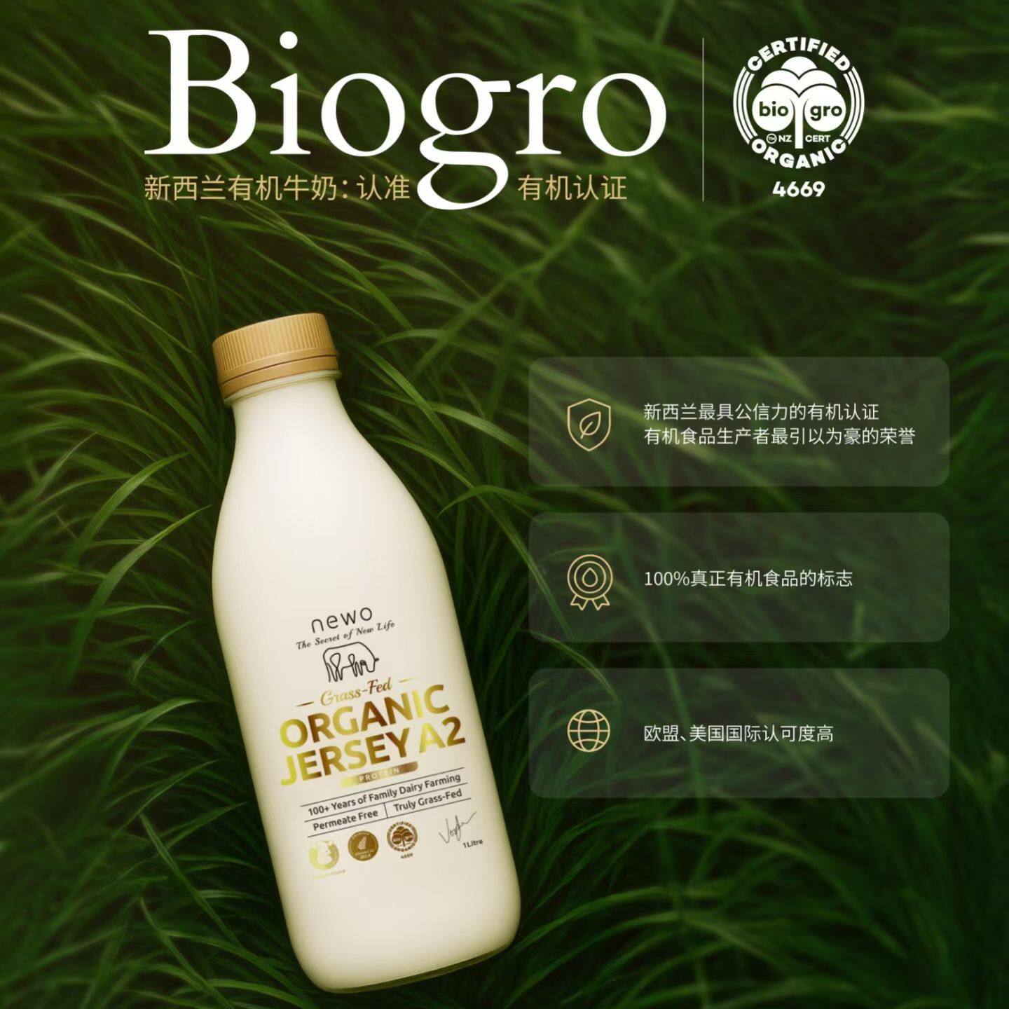新西兰Newo纽渥巴氏杀菌全草饲纯鲜牛奶1L装
