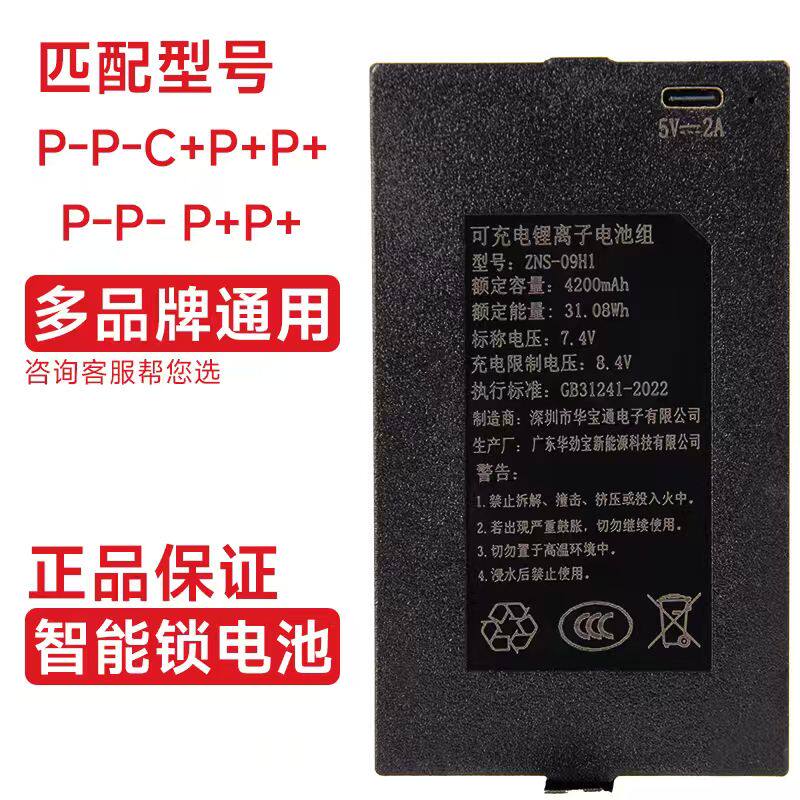 ZNS-09H1智能锁专用电池